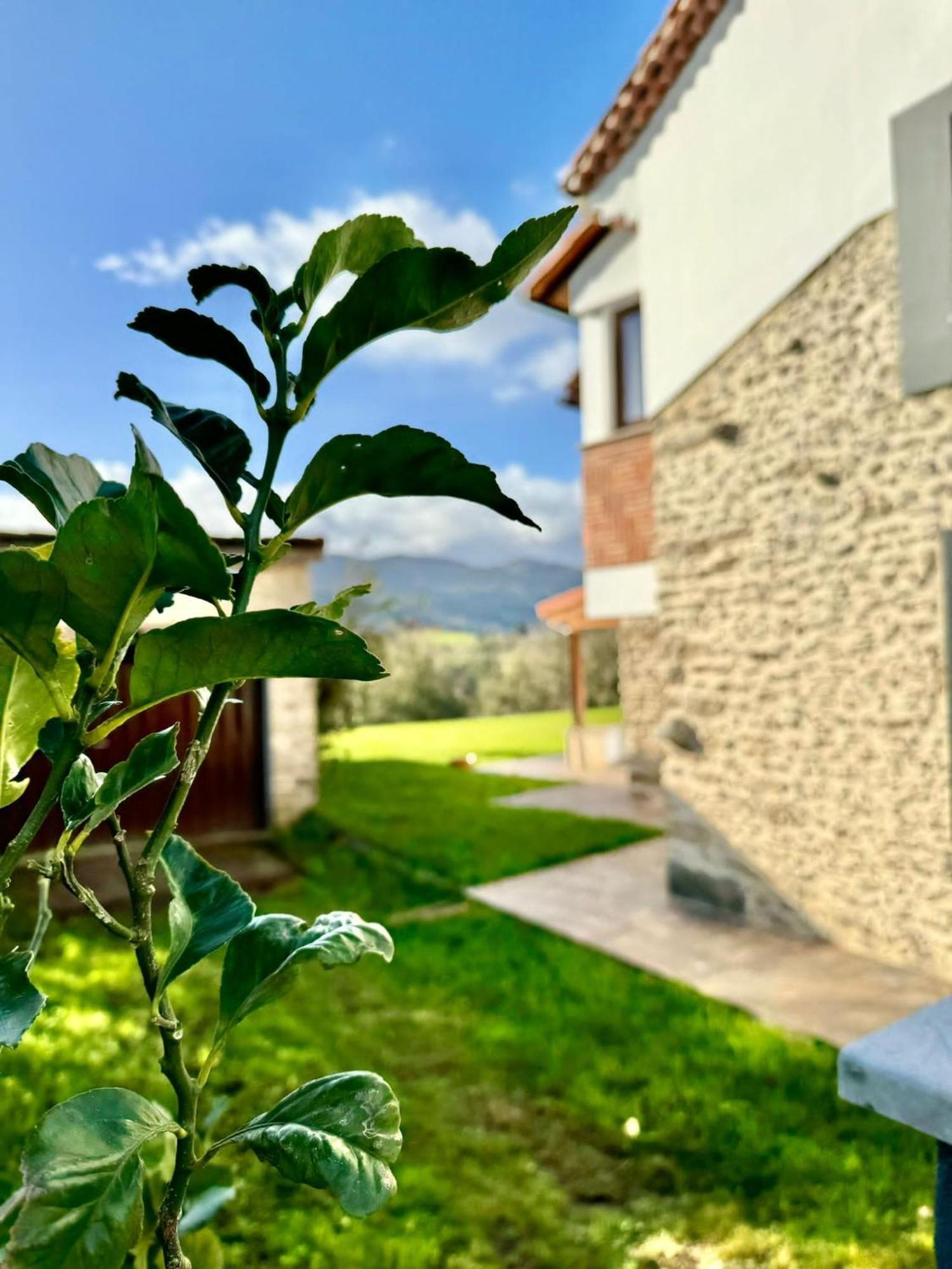 Terradeva Apartamentos Colombres Luaran gambar